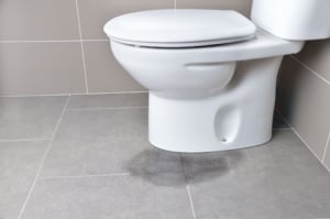 How to Unclog a Toilet Without a Plunger